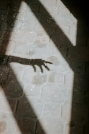 Hand Shadow On Pavement