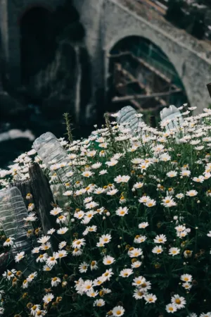 Floral Bridge