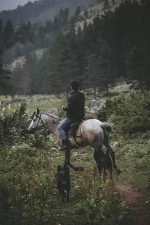 Riding Through Nature