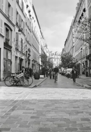 Parisian Street Scene