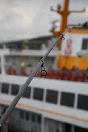 Fishing Pole