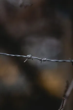 Barbed Wire