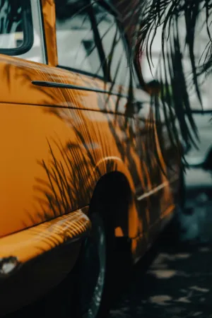 Orange Car With Palm Shadows