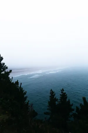 Foggy Ocean View