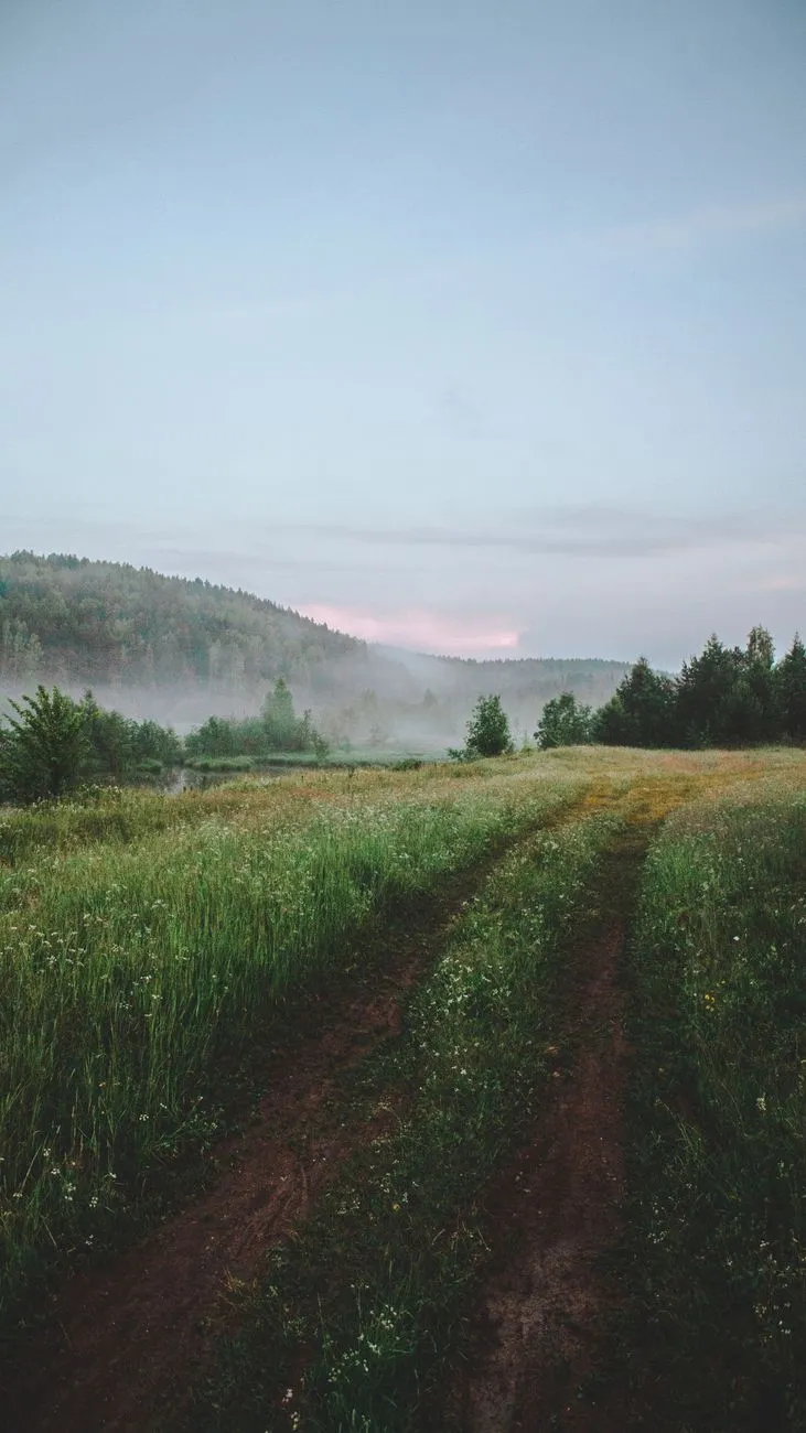 Misty Morning Landscape