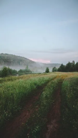 Misty Morning Landscape