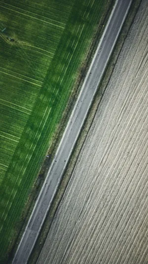 Aerial View Of A Road Through Fields