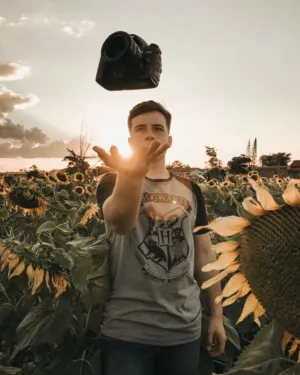 Sunflower Field At Sunset