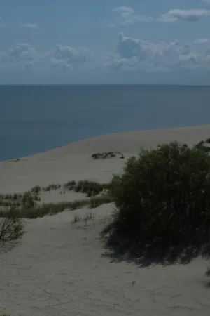 Beach Landscape