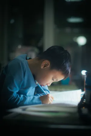 Little Boy Studying