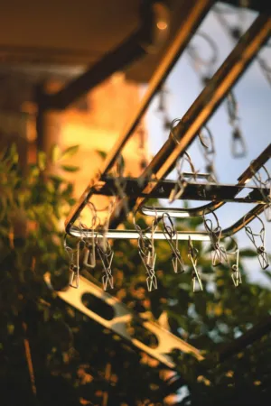 Clothesline At Sunset
