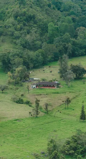 Green Pastures And Farmhouse