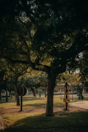 Park At Sunset