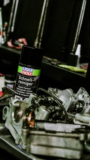 Rapid Cleaner Spray