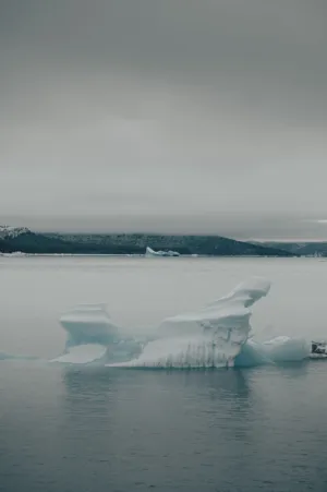 Iceberg In The Arctic