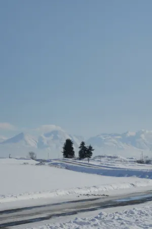 Winter Landscape