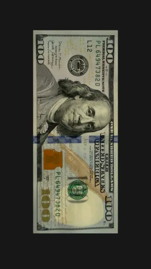 100 Dollar Bill