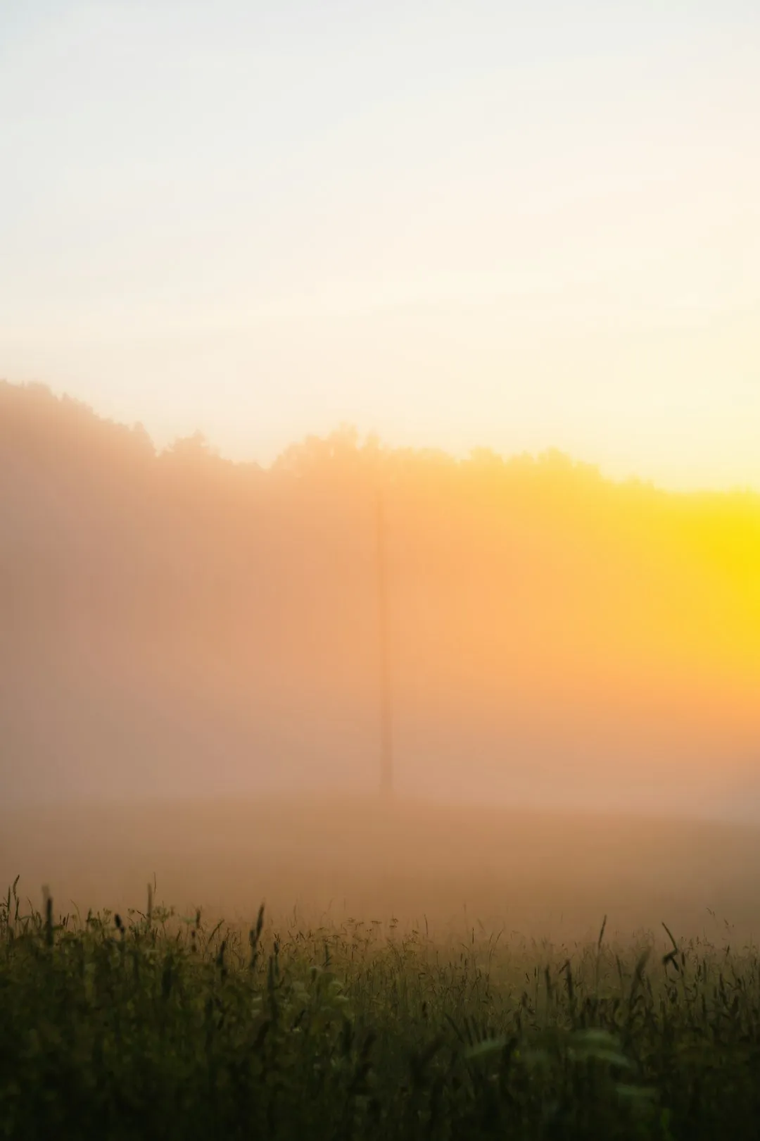 Sunrise In The Mist