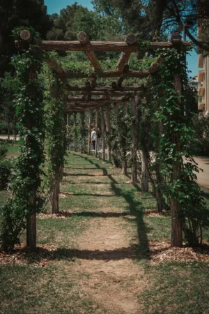 Wooden Pathway In A Garden