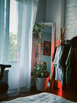 Cozy Room With Plants And Clothes