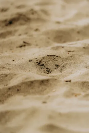 Sand Texture
