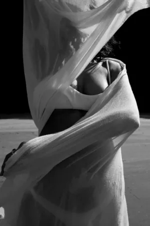 Silhouette In Motion