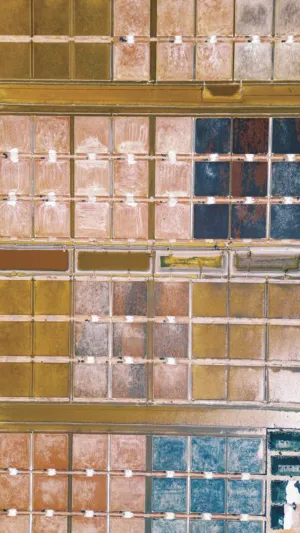 Salt Evaporation Ponds