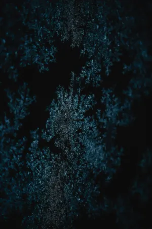 Frosty Texture