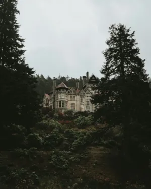 Mansion In The Woods