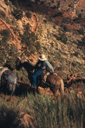Horseback Riding In The Desert