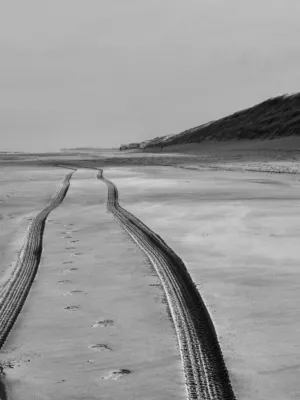 Beach Tracks