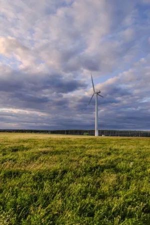 Wind Turbine In Field