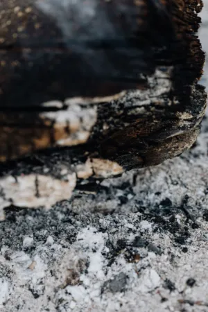 Charred Wood And Ashes
