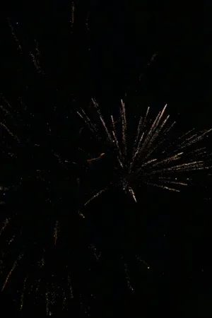 Fireworks In The Night Sky