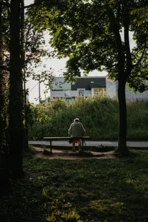 Solitude In The Park