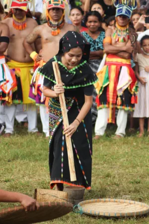Traditional Cultural Performance