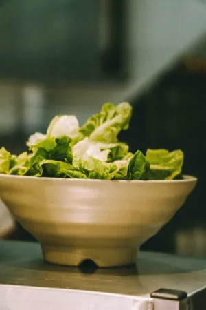Fresh Lettuce Bowl