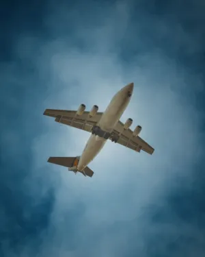 Airplane In Flight