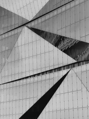 Geometric Architecture