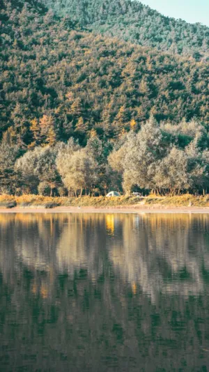 Lakeside Campsite