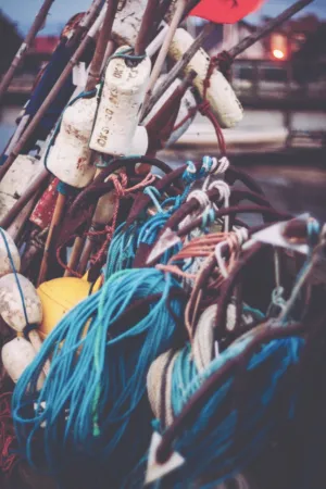 Fishing Equipment
