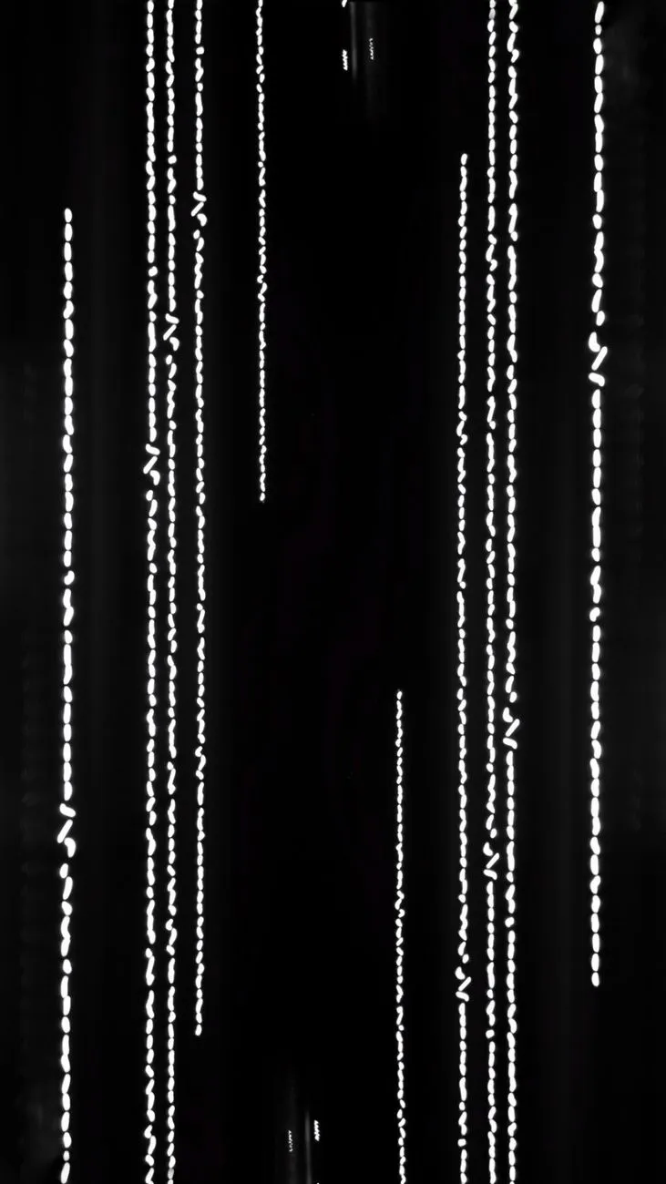 Matrix Style Light Streaks