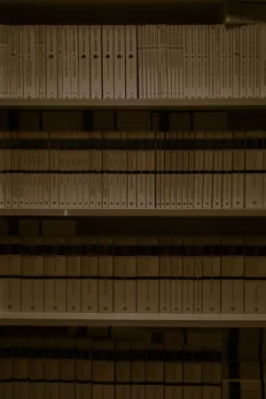 Library Shelves