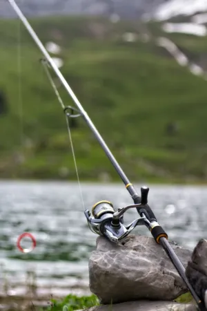 Fishing Rod By The Lake