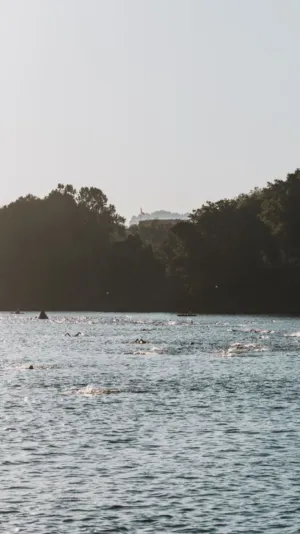Swimmers In A Lake