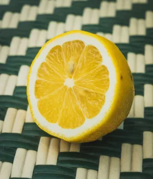 Lemon Slice