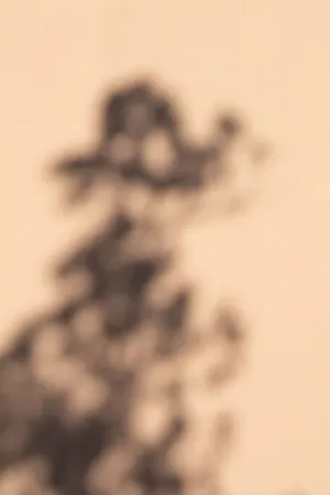 Tree Shadow On Wall
