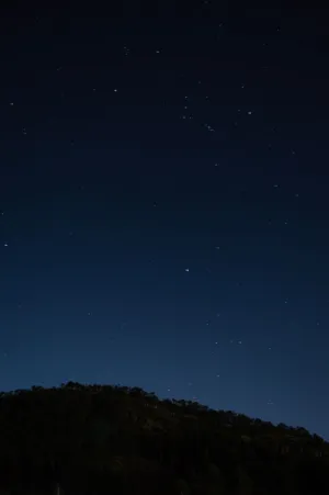 Starry Night Sky