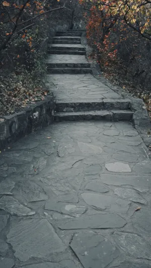 Stone Pathway In Autumn