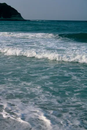 Ocean Waves